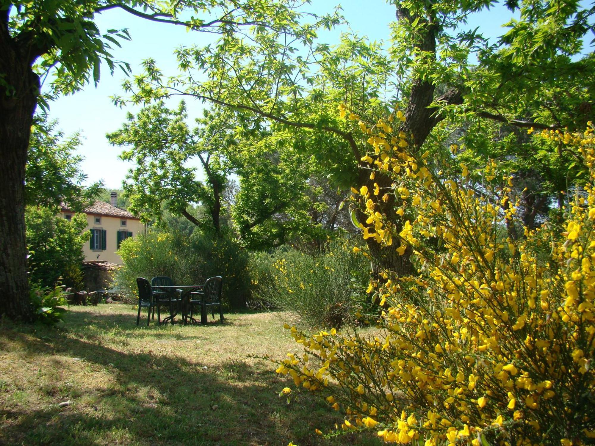كاستل ديل بيانو Borgo Tepolini Country House المظهر الخارجي الصورة