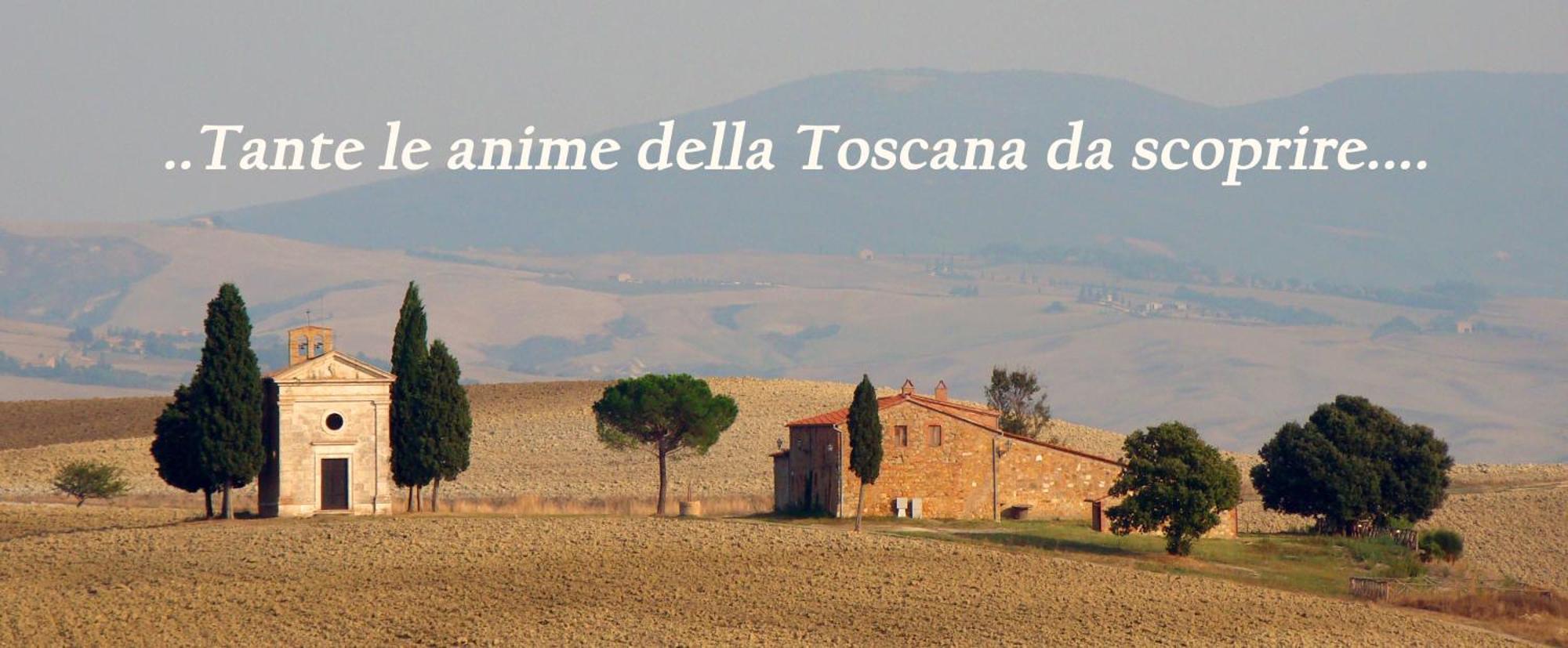 كاستل ديل بيانو Borgo Tepolini Country House المظهر الخارجي الصورة