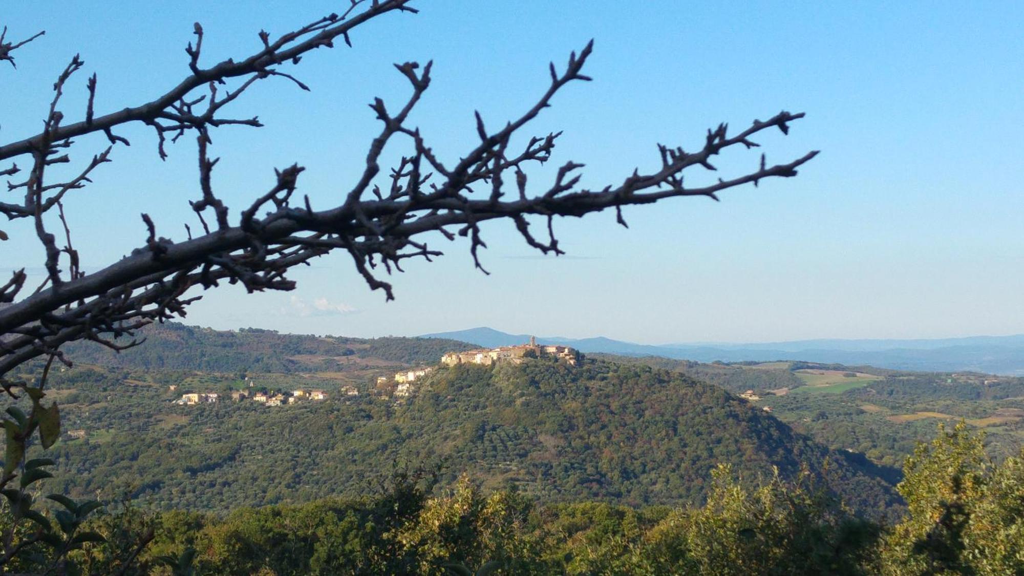 كاستل ديل بيانو Borgo Tepolini Country House المظهر الخارجي الصورة