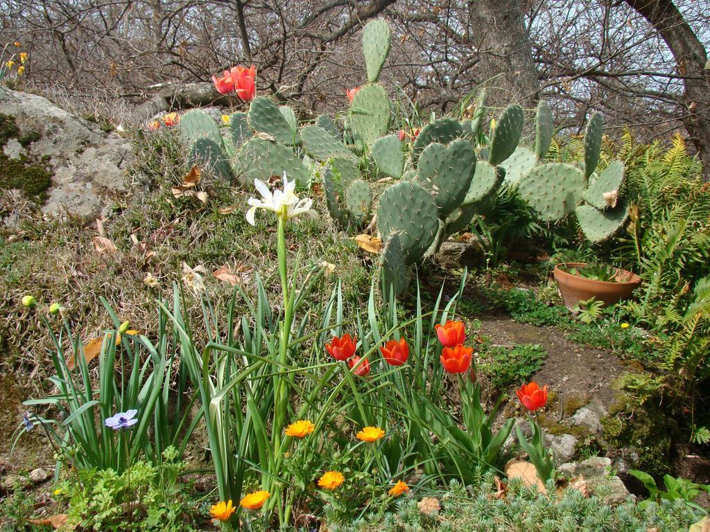 كاستل ديل بيانو Borgo Tepolini Country House المظهر الخارجي الصورة